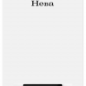 Настенный газовый котел BaltGaz Neva Lux 8218